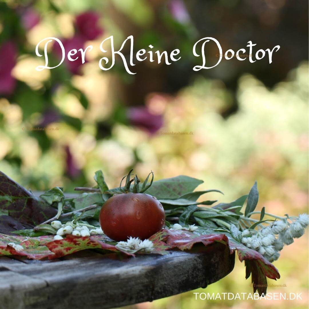 Der kleine Doctor